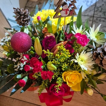 Jacaranda christmas choice