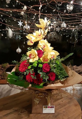 Orchid decadence