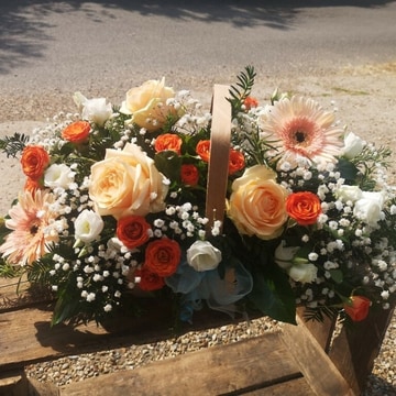 Eco apricot basket