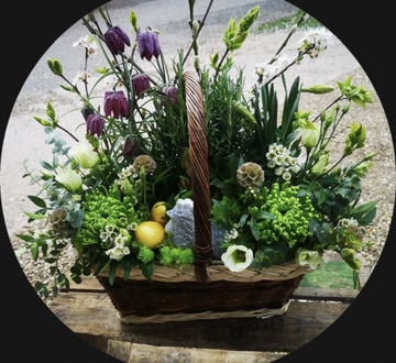 Planted baskets