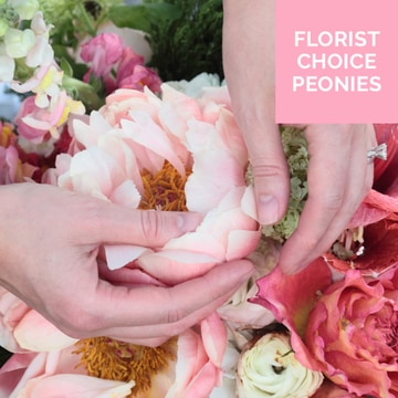 Florist choice peonies