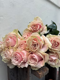 A dozen mixed roses