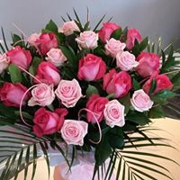 Two toned 24 rose bouquet