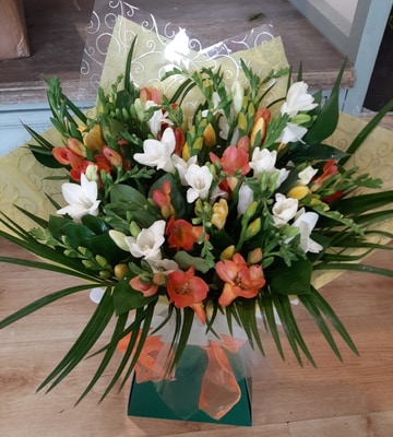 Mixed freesia