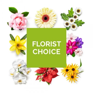 Florist choice aqua pack