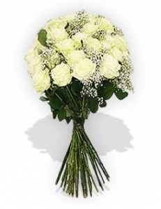 Babys breath