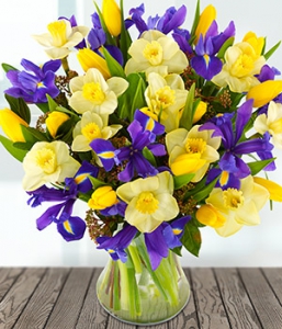 Hello spring