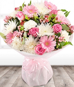 Pale pink blush