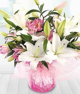 Lovely lilies