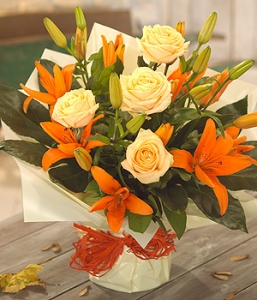 Autumn rose lily