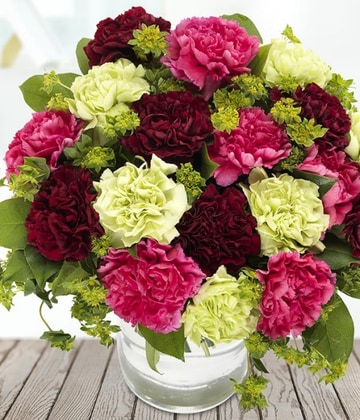 Carnations delight
