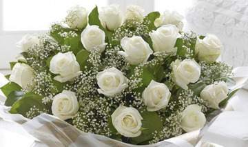 20 white roses