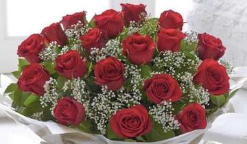 20 red roses