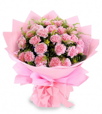 Pink carnations