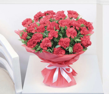 Red carnations