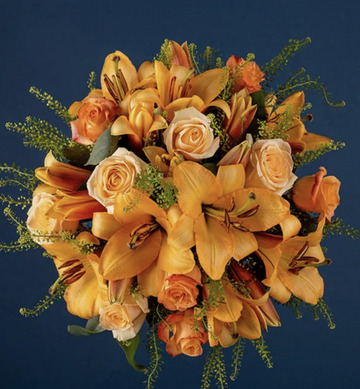 Peach lily rose