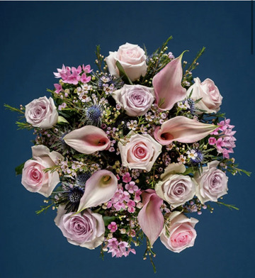 Cala lily rose