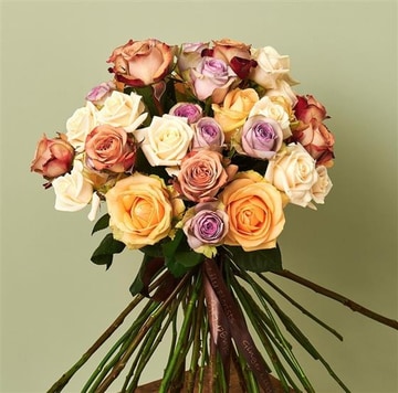 Luxury rosa