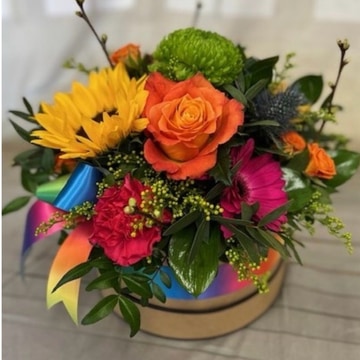 Rainbow hatbox