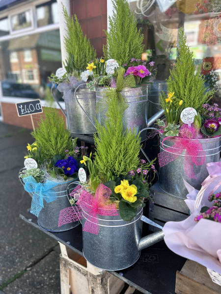Watering can planter