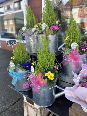 Watering can planter