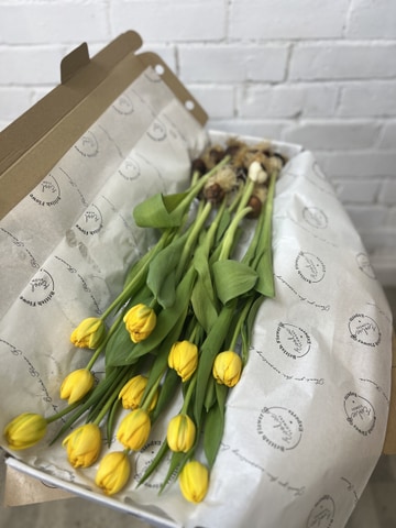 Simply tulips on the bulb