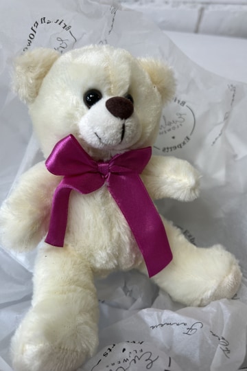 Cute cuddly bear