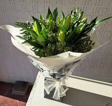 Just lilys