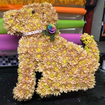 Sml funeral tribute dog