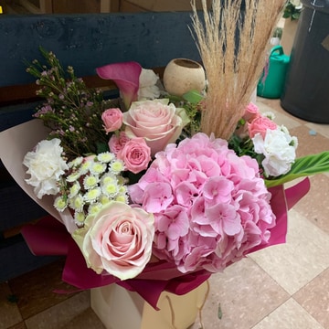 Pink bon boms