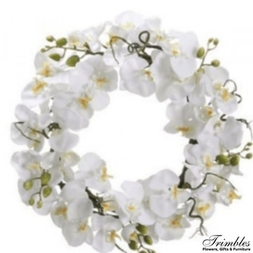 Orchid-tribute