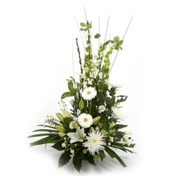 Wintry-whites