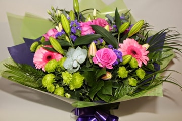 Pinks-and-purples