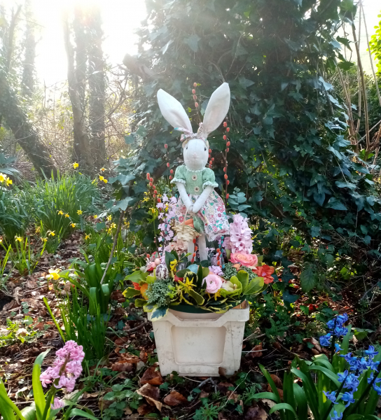 Honey-bunny