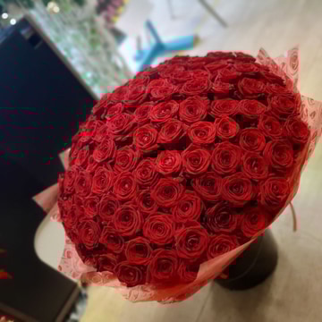 100-red-roses
