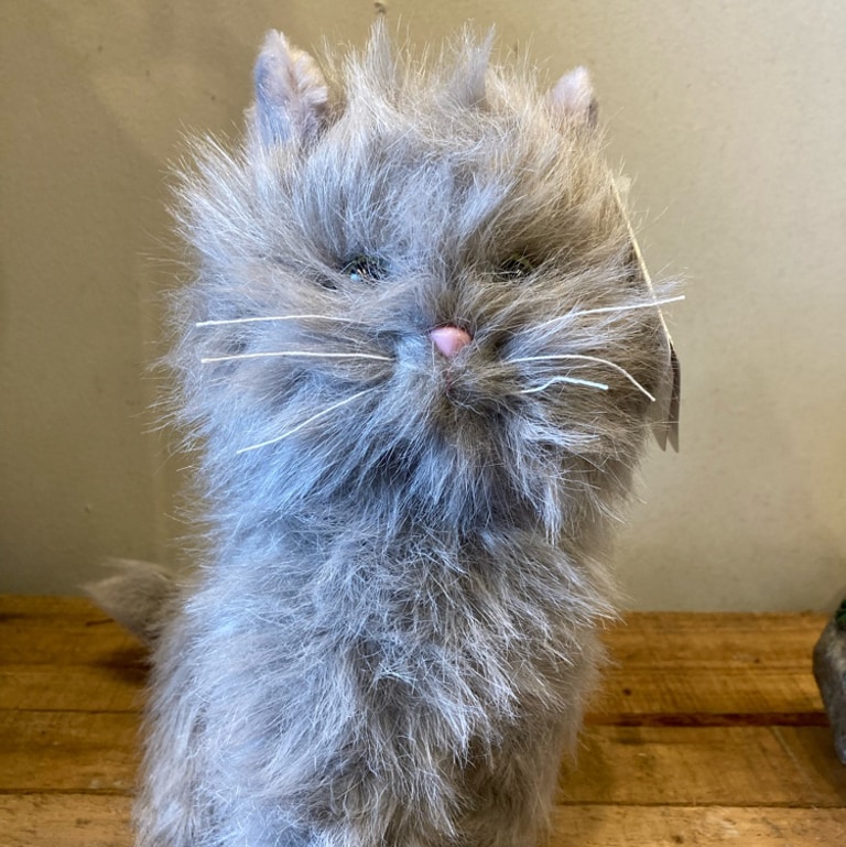 Cute-kitty-add-on-only