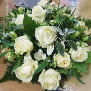Pure white roses