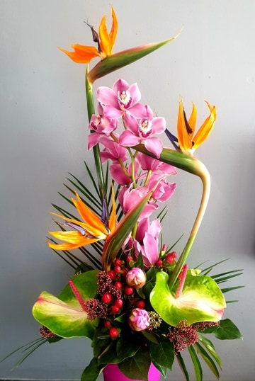 Joop arrangement
