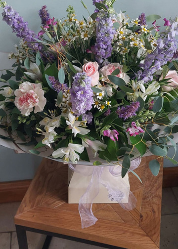 Lilac stock-daisy