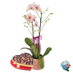 Orchid-chocolates