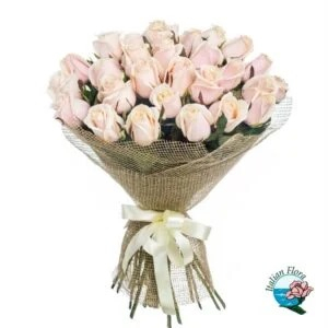 24 light pink roses