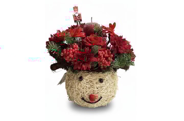 Reindeer christmas cheer