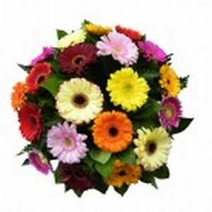 Gerbera-bouquet