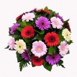 Gerbera-bouquet-pastel