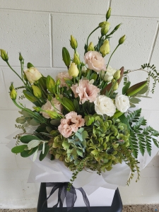 Soft-and-pretty