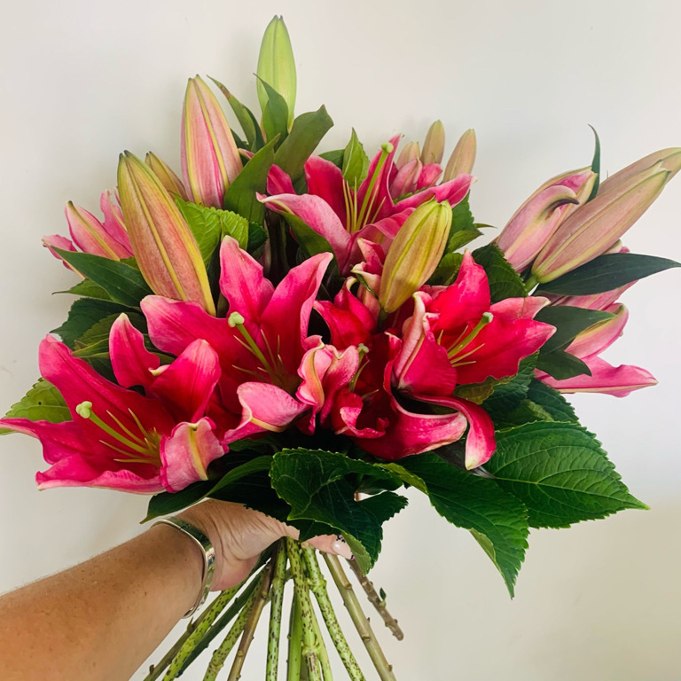 Elegant-pink-lillies
