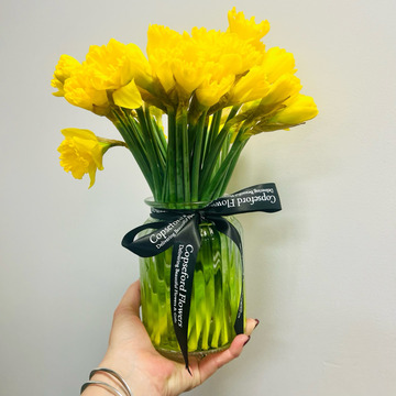 Just-daffodils