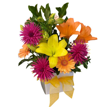Bright-vibes