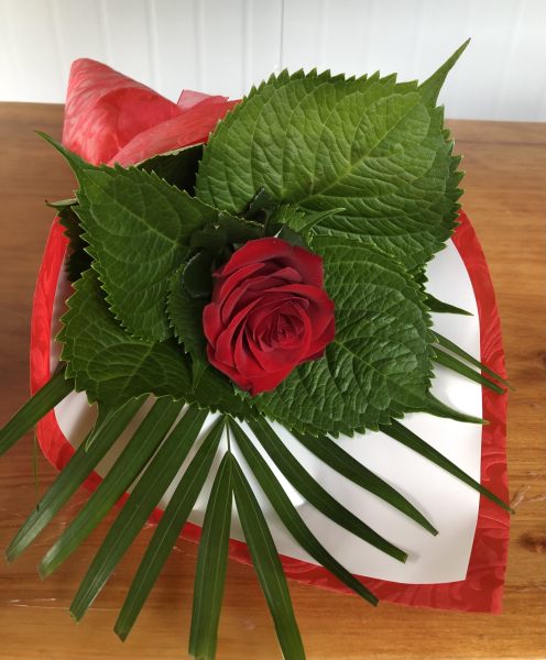 Single-red-rose