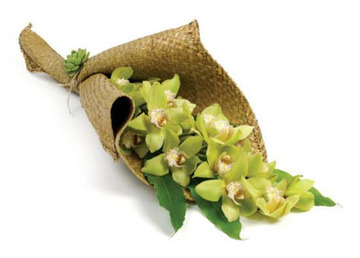 Cymbidium-orchids